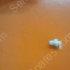 BF-0725-00 | BARB,XL210-1,1/16"TO#10-32,WHITE NYLON,1 BAG OF 103 UNITS EACH