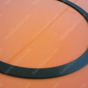 715-250199-001 | RING, SEAL, LOWER ELECTRODE