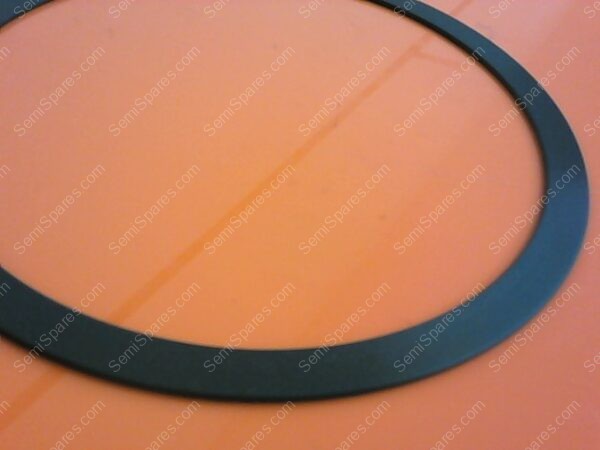 715-250199-001 | RING, SEAL, LOWER ELECTRODE