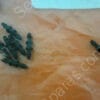 BF-5267-00 | IZHZ8, BARB COUPLING 1/16,GRAING