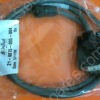 21-8875-005-004 | ONTRAK SYSTEMS, INC. CABLE, MOTOR, PCA