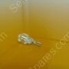 LB-1650-00 | LAMP,BULB GE, 778