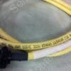 212575800 | TURCK EURO FAST P-7K-SC-261061-1-MSHA