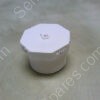 D2464 | SPEARS FITTING, PVC SCH 40 THR PLUG, 3/4"