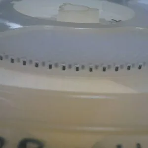 ELJ-RE56NGF3 | FIXED IND 56NH 250MA 1.2 OHM SMD