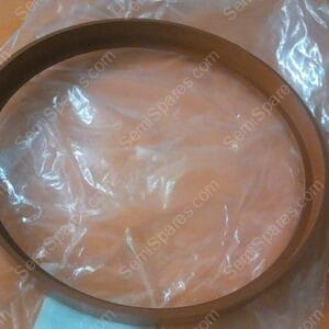 GS-9160-00 | GASKET, DOOR, 95-08012 ANATECH ETCHER