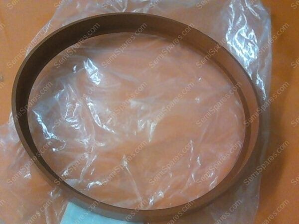 GS-9160-00 | GASKET, DOOR, 95-08012 ANATECH ETCHER