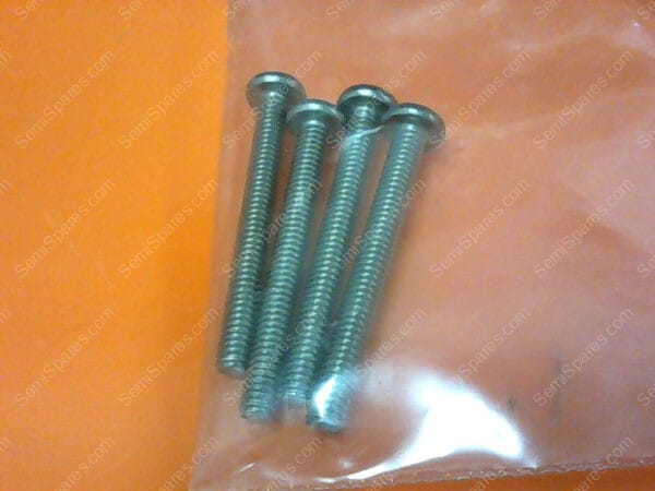 720-1002-24 | SCREWS (PKG OF 4)
