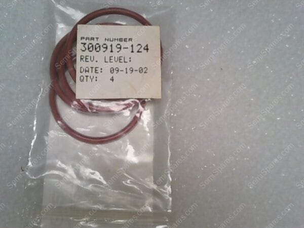 OR-3666-00 | O RING PFA ENCAYS 1.237,300919-124