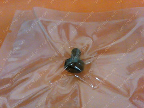 0020-03656 | SCREW VESPEL