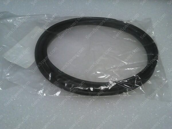 OR-0160-48 | O-RING VITON E35000306, 21.955 19