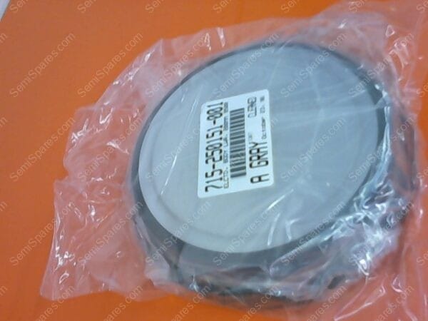 715-250151-001 | BODY,ELCTD,LWR,200MM