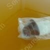 TH-4300-00 | EXHAUST FLEX HOSE,250555-01