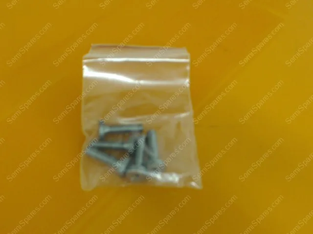 FM-0420-00 | FILAMENT SCREW,BERNAS,40-8993-2,0.08