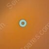 SW-0910-00 | WASHER 20-00221-00 ALUMINUM