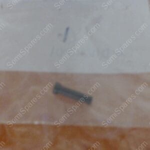 CC-4375-00 | BUTTON,106-011621-001