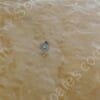SC-6030-00 | SCREW,04-712210-02,IMPLANT