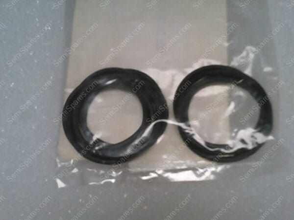 OR-2126-03 | O RING VION 2-126,3290 - Image 2