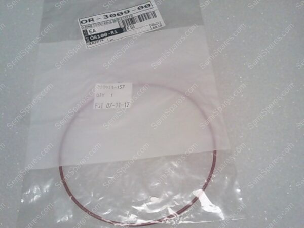 OR-3009-00 | O RING, TURNTABLE, 300919-157,FSI