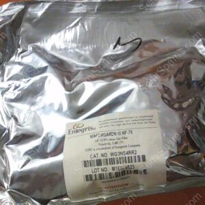 FL-0729-00 | FILTER,PARTICULATE,E30000124, WG3NS4RR2