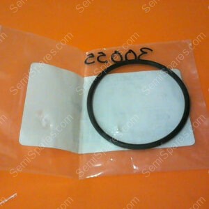 E35000322 | VARIAN O-RING VITTON,2.609 PN/E35000322