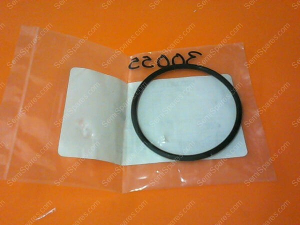 E35000322 | VARIAN O-RING VITTON,2.609 PN/E35000322
