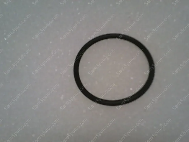 OR-2224-03 | O RING VITON 2-224,510004, PLSN TUBE - Image 2